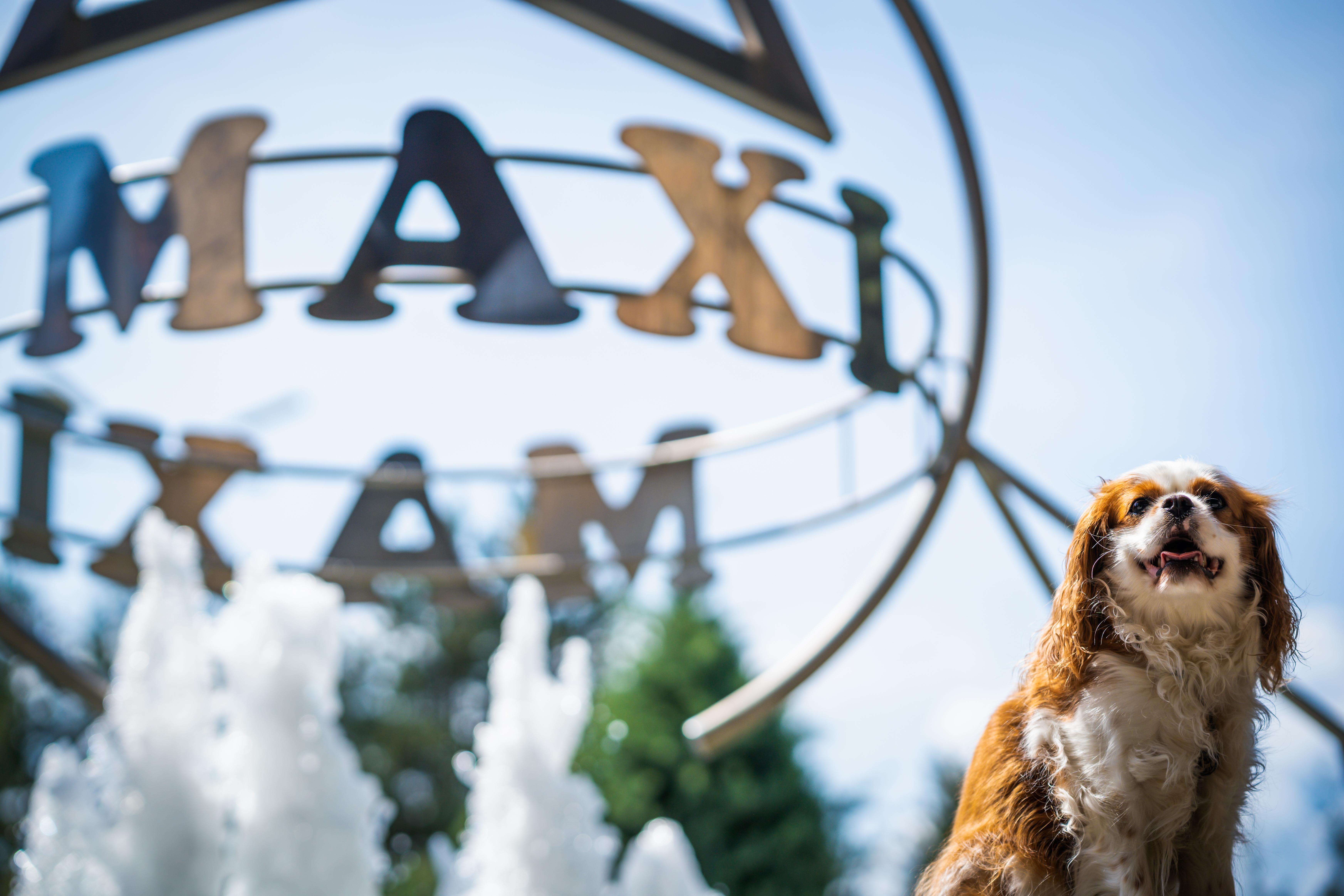 Maxi Park Hotel & Spa ヴェリングラード エクステリア 写真
